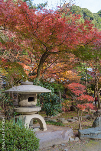 日本の秋