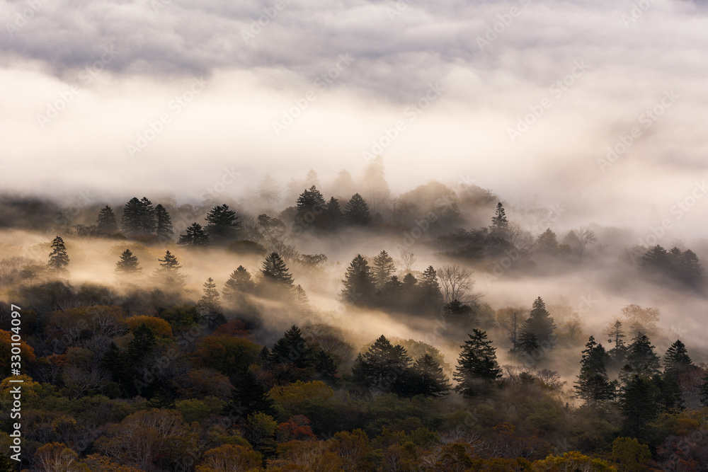 日本・北海道東部の国立公園、屈斜路湖の雲海
