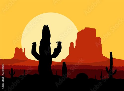 Western desert. Sunset. Rocks. Cactusis.