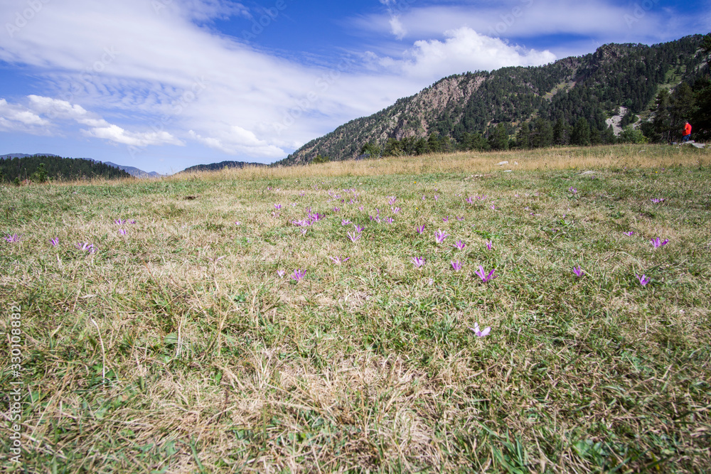 Obraz premium Bahns de Tredos Pyrenees landscape Aran valley Lleida Catalunya Spain
