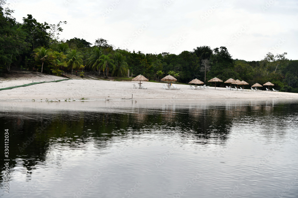 Naklejka premium river beach in amazon natural park in brazil