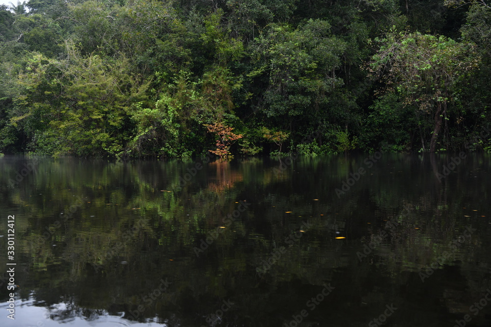 views of the river channel in the Amazon jungle in Brazil