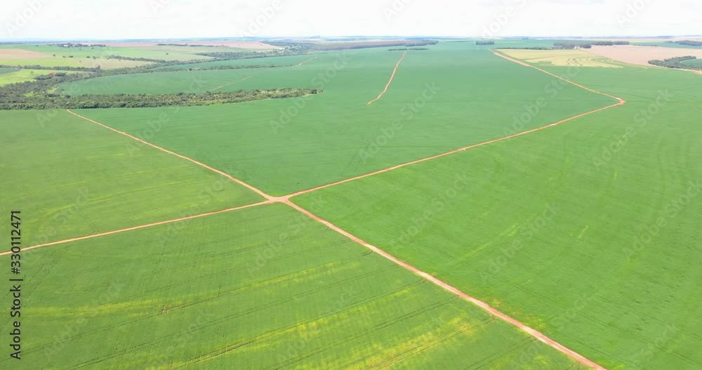 Agriculture - Aerial image soybean plantation, open area, high productivity, green soybean in the sunlight - Agribusiness Agriculture - Aerial image soybean plantation, open area, high productivity, green soybean in the sunlight - Agribusiness