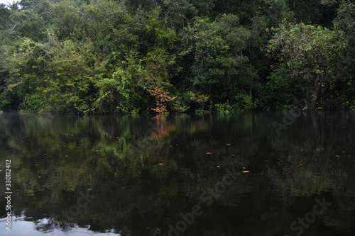 views of the river channel in the Amazon jungle in Brazil