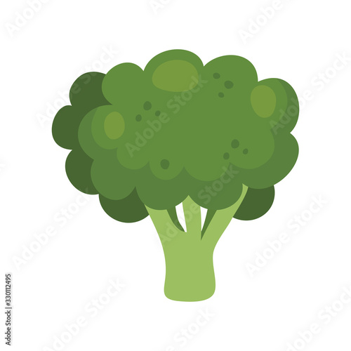 fresh broccoli vegetable isolated icon vector illustration design vector illustration design