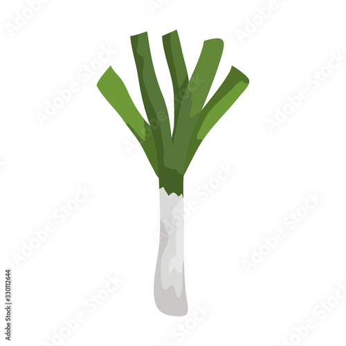 fresh leek vegetable isolated icon vector illustration design