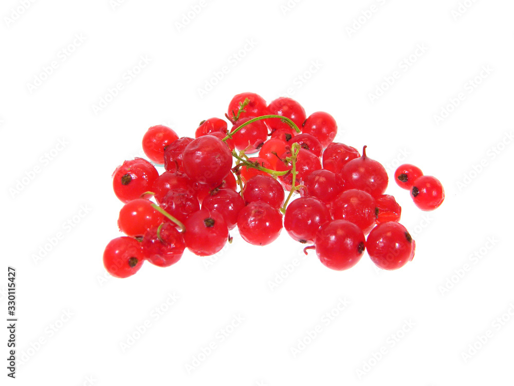 red currant isolated on white background red currant isolated on white background