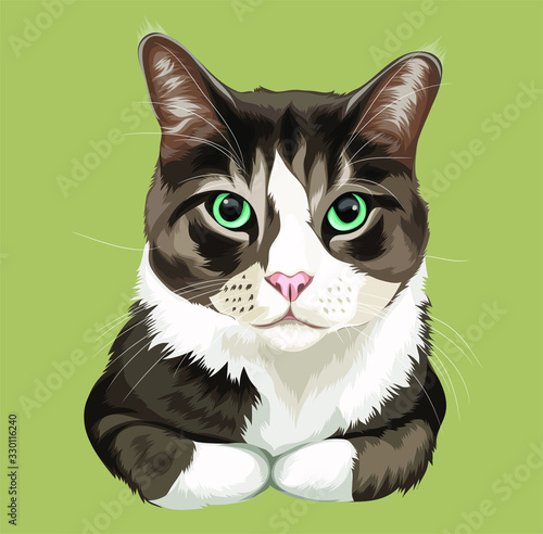 illustration vector graphic of cat perfect for pet lover and pet business