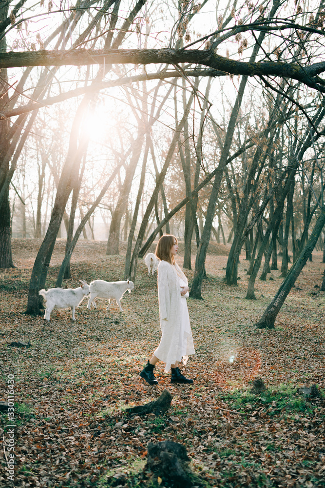 portrait of a young attractive fair haired girl in a light white dress and black shoes in a picturesque forest with goats in autumn