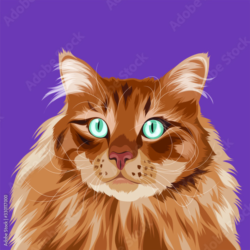 ilustration vector graphic of cat with long fur, perfect for cat lover and pet business