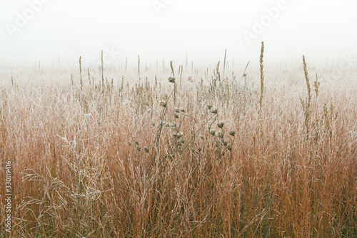 Tela Landscape of frosted, autumn tall grass prairie in fog, Fort Custer State Park,