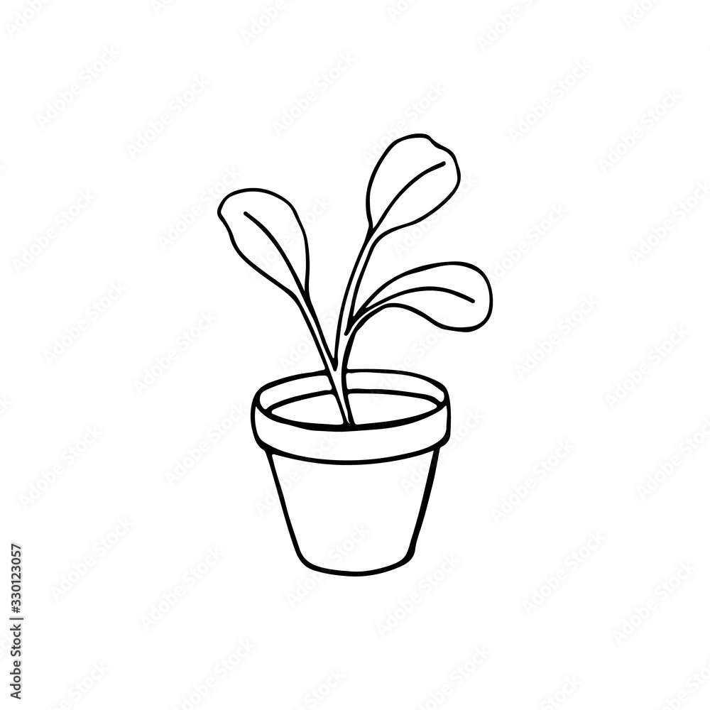 Black and white image of a pot with seedlings. Vector illustration. Hand-drawn doodle for design, web, icons. Black and white image of a pot with seedlings. Vector illustration. Hand-drawn doodle for design, web, icons.
