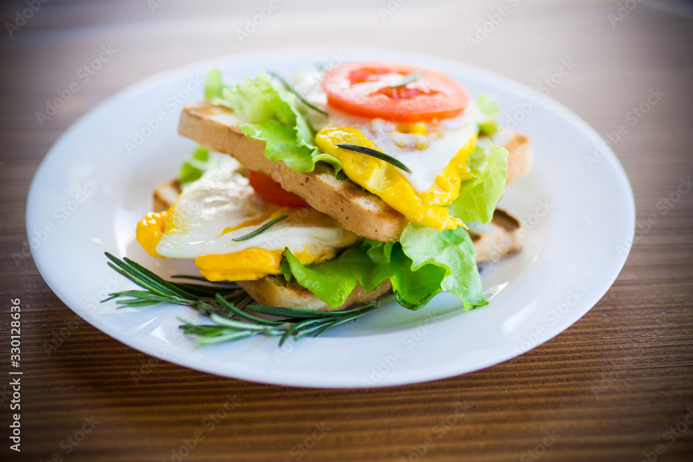 fried toasts with egg, salad, tomato in a plate