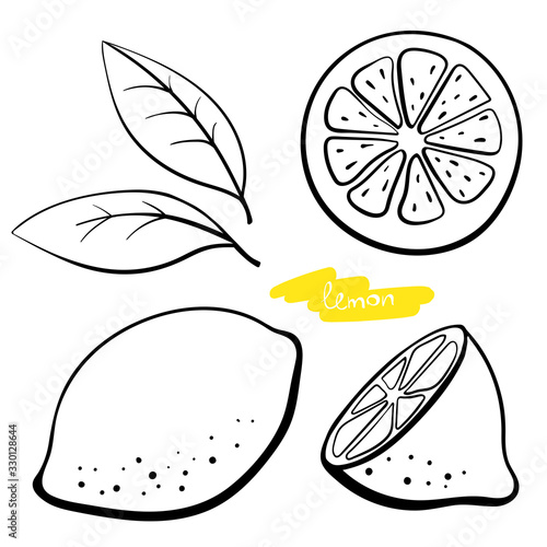 Lemon, whole, half, slice and leaves. Black line sketch collection of citrus fruits isolated on white background. Doodle hand drawn vegetables. Vector illustration