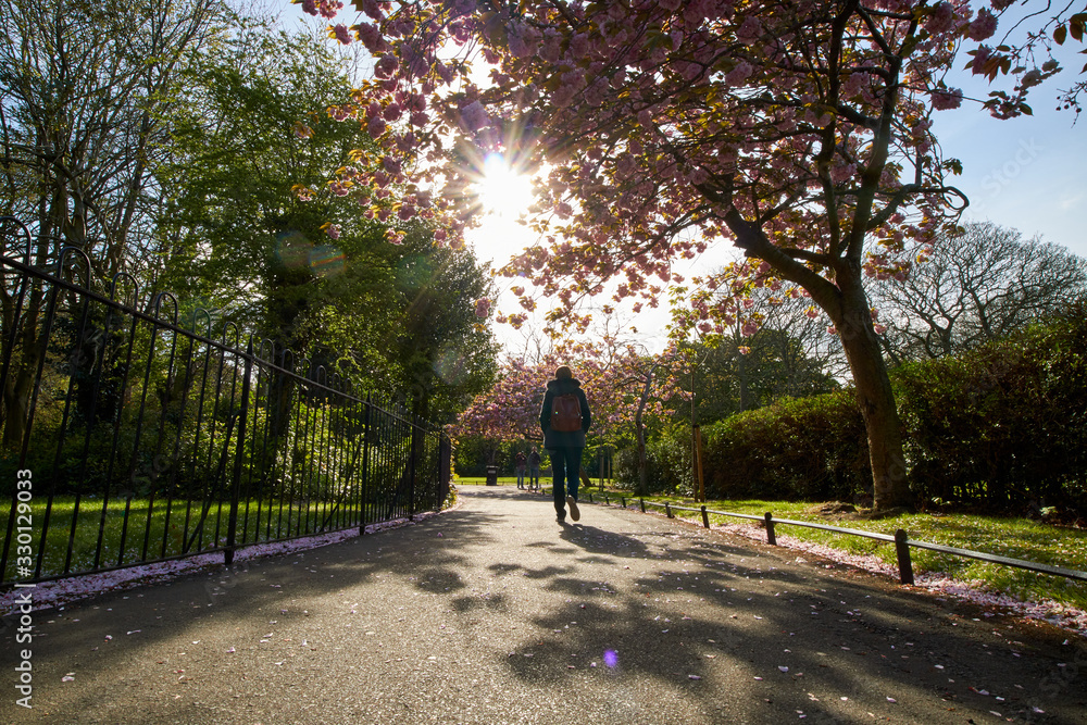 St Stephen's Green park, in Dublin, Ireland St Stephen's Green park, in Dublin, Ireland