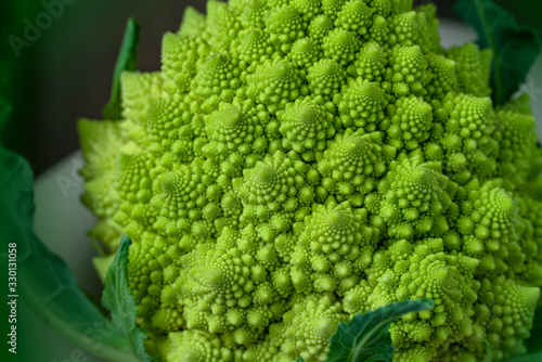 Decorative cabbage Romanesco broccoli close up