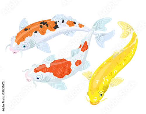 Three colorful japanese koi carps. Isolated on white background. Vector illustration.