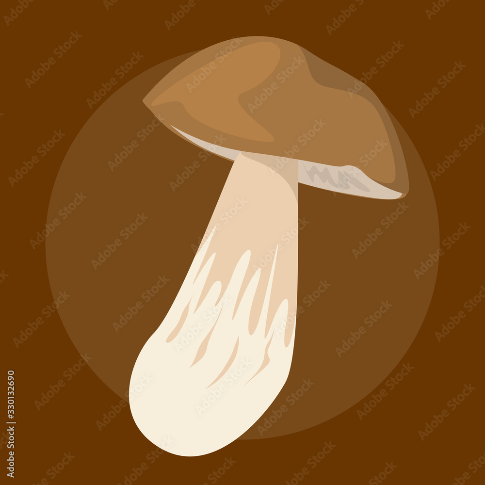 Boletus edulis mushroom vector isolated. Edible organic Boletus edulis mushroom vector isolated. Edible organic