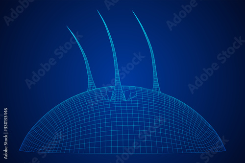 Hair follicle protect care cosmetic technology concept. Hair root structure repair shampoo salon treatment. Anatomy strands medicine trichology. Wireframe low poly mesh vector illustration
