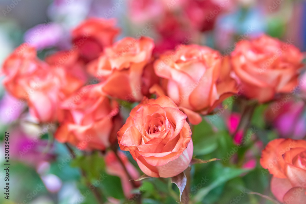 bouquet of red fresh roses in flower shop bouquet of red fresh roses in flower shop