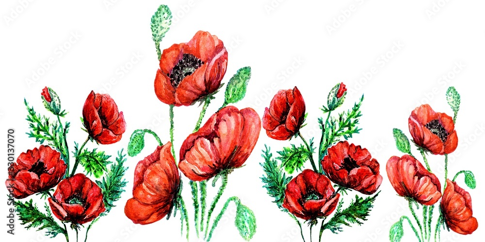 Fototapeta premium Banner of red bright poppies on a white background with free space for your text. Flower border.
