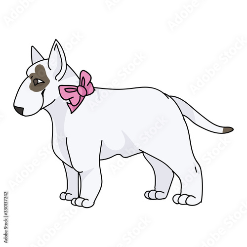 Cute cartoon bull terrier dog breed with pink bow vector clipart. Pedigree kennel show dog lovers. Purebred domestic pooch for pet parlor illustration. Isolated canine puppy with snout. EPS 10.  photo