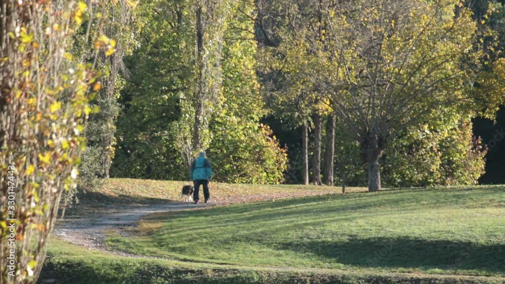senior walking his pet at the park, faithful dog is very important for old people senior walking his pet at the park, faithful dog is very important for old people