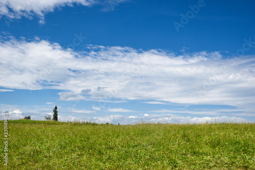 Beautiful green grassland against dramatic sky background on a nice summer day