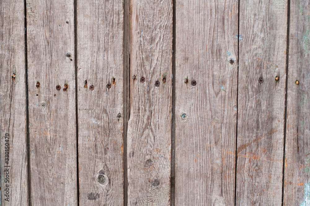 Fototapeta premium Wood texture background. Plank wood wall for text.