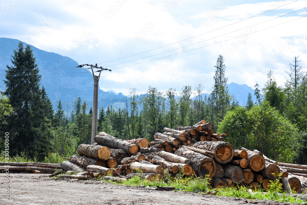 Timber logs on the roadside under the high voltage electric power transmission line somewhere in mountains Timber logs on the roadside under the high voltage electric power transmission line somewhere in mountains