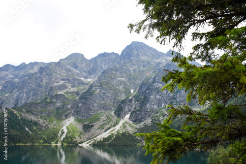 Fototapeta Naklejka Na Ścianę i Meble -  Fir or spruce tree with blurred high mountain range reflected in the lake in the background; with copyspace for text