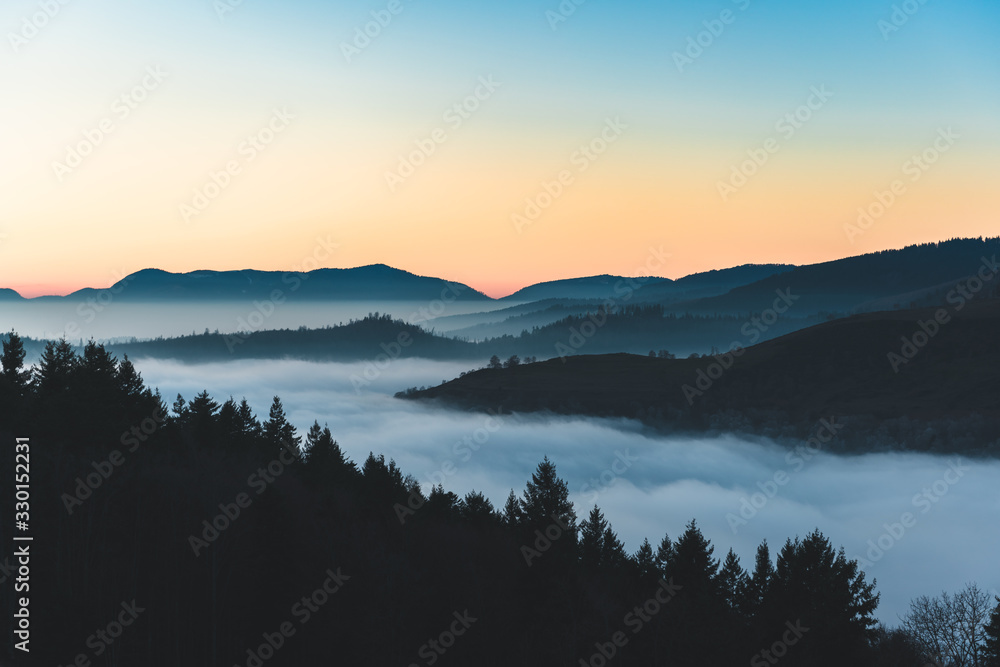 Sea of cloud above the forest 