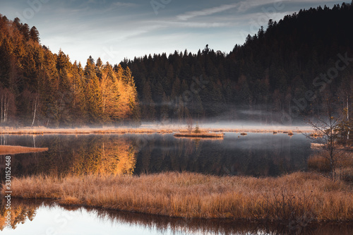 small fog on the Lispach lake