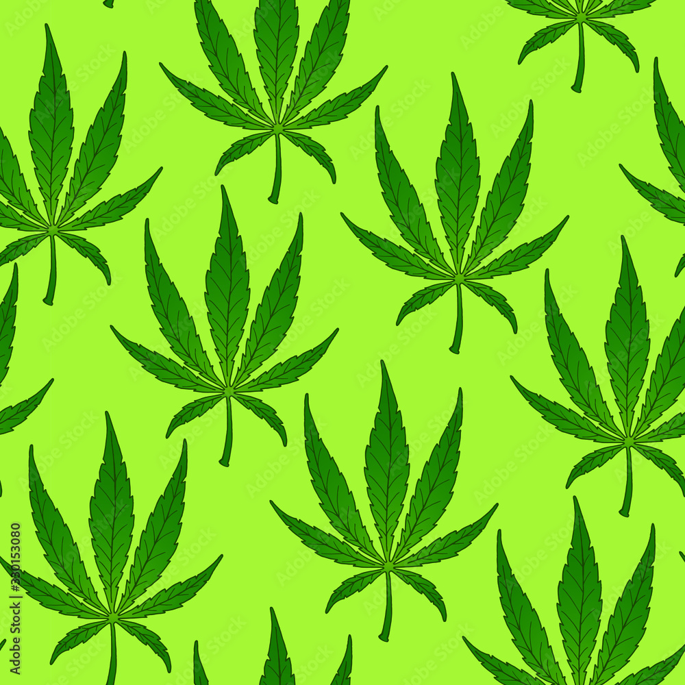 Seamless pattern. Vector illustration of a cannabis.  Marijuana leaf. Realistic design. Botanical illustration. Green background.