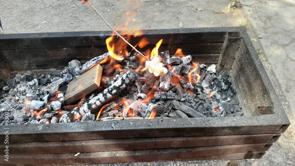 The hot embers of burning wood log fire. Firewood burning on grill