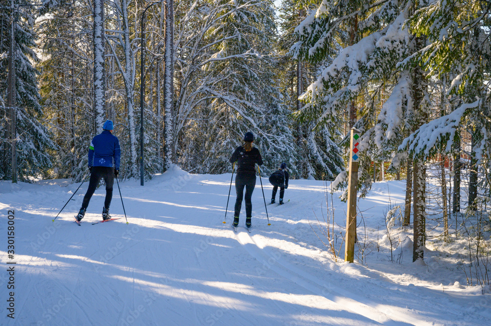 Swedish family doing cross country ski through the woods surrounded track during the winter with sunbeam