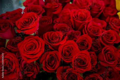 ,bouquet of beautiful red roses