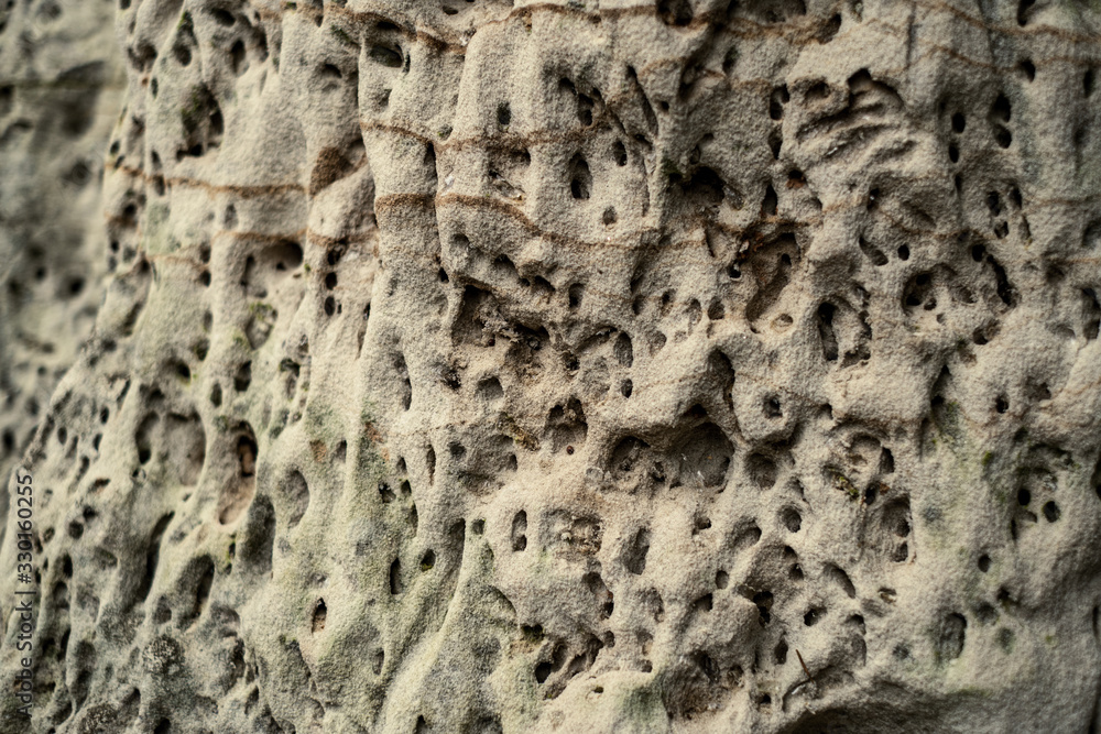sandstone cliffs on the river shore sandstone cliffs on the river shore