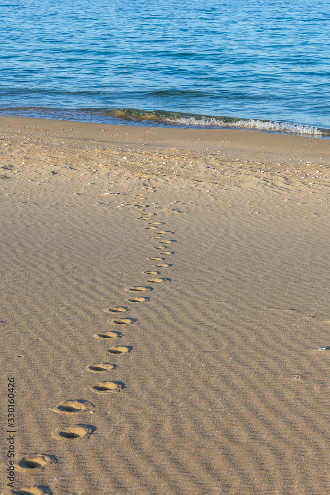 Traces of animals in the sand. Sand Texture. Background from brown sand. selective focus Traces of animals in the sand. Sand Texture. Background from brown sand. selective focus