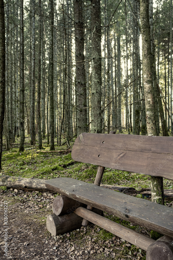 resting camping place in the woods with benches and trail in late autumn resting camping place in the woods with benches and trail in late autumn