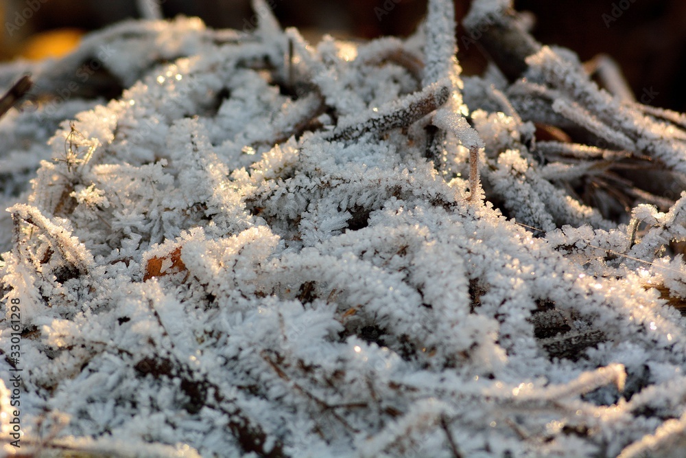 The first autumn frosts, frosty morning. The first autumn frosts, frosty morning.