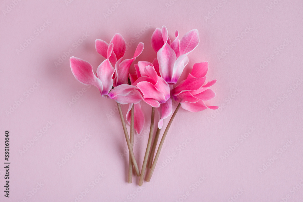fresh beautiful pink flowers bouquet on pastel rose background, floral card, Mother's Day, top view fresh beautiful pink flowers bouquet on pastel rose background, floral card, Mother's Day, top view