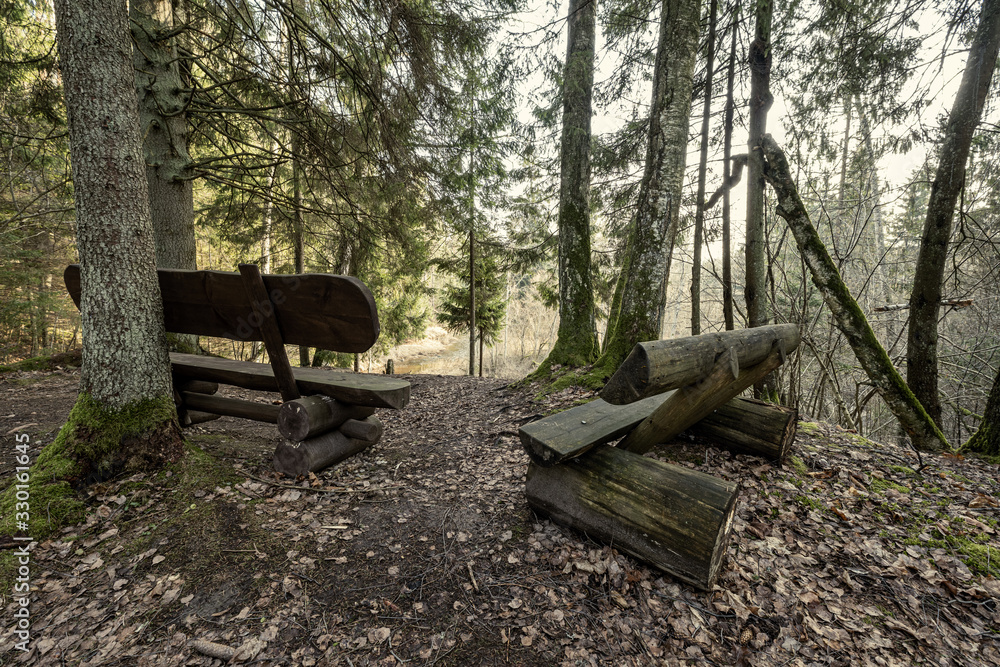 resting camping place in the woods with benches and trail in late autumn resting camping place in the woods with benches and trail in late autumn
