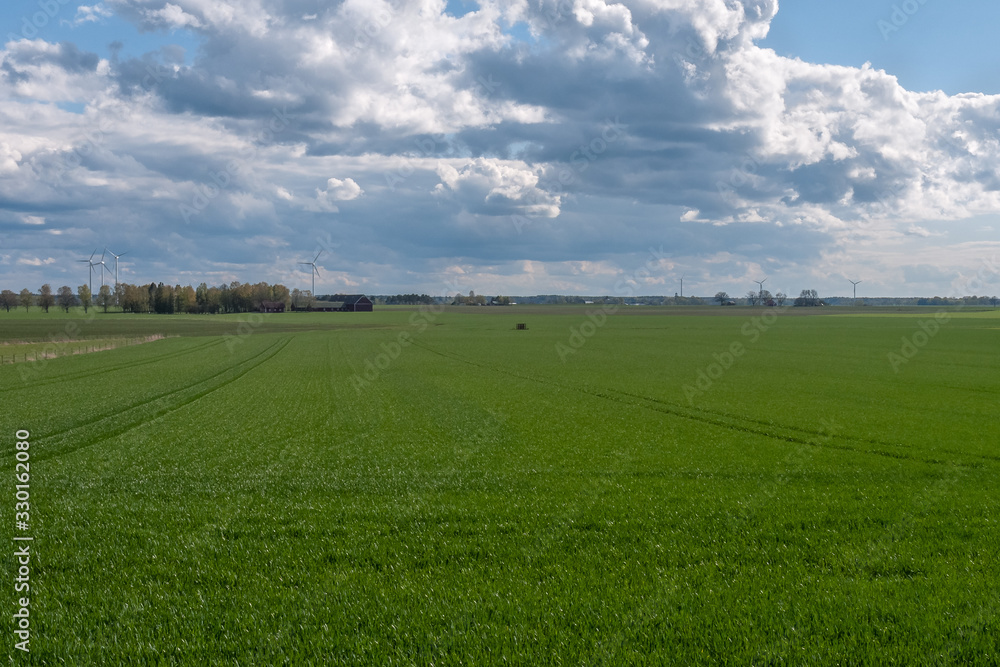 Fototapeta premium Stormy sky over a green sown field with wind power on the background. Central Sweden.