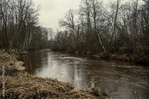 Scenic view of forest river Mergupe in Latvia in winter with no snow
