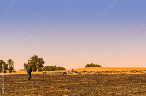 Obraz na plátně sand desert sets in, desert cemetery, sahara, morocco
