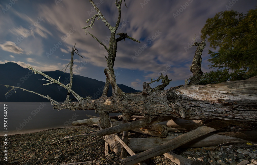 Russia. South Of Western Siberia, Altai Mountains. Altai state natural biosphere reserve, Bele cordon in the South of lake Teletskoye