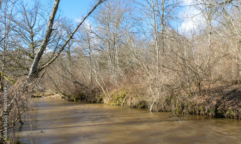 spring landscape with river and naked trees on the river bank spring landscape with river and naked trees on the river bank