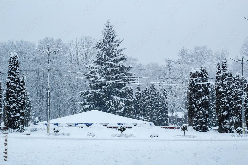 Fototapeta premium winter in the mountains