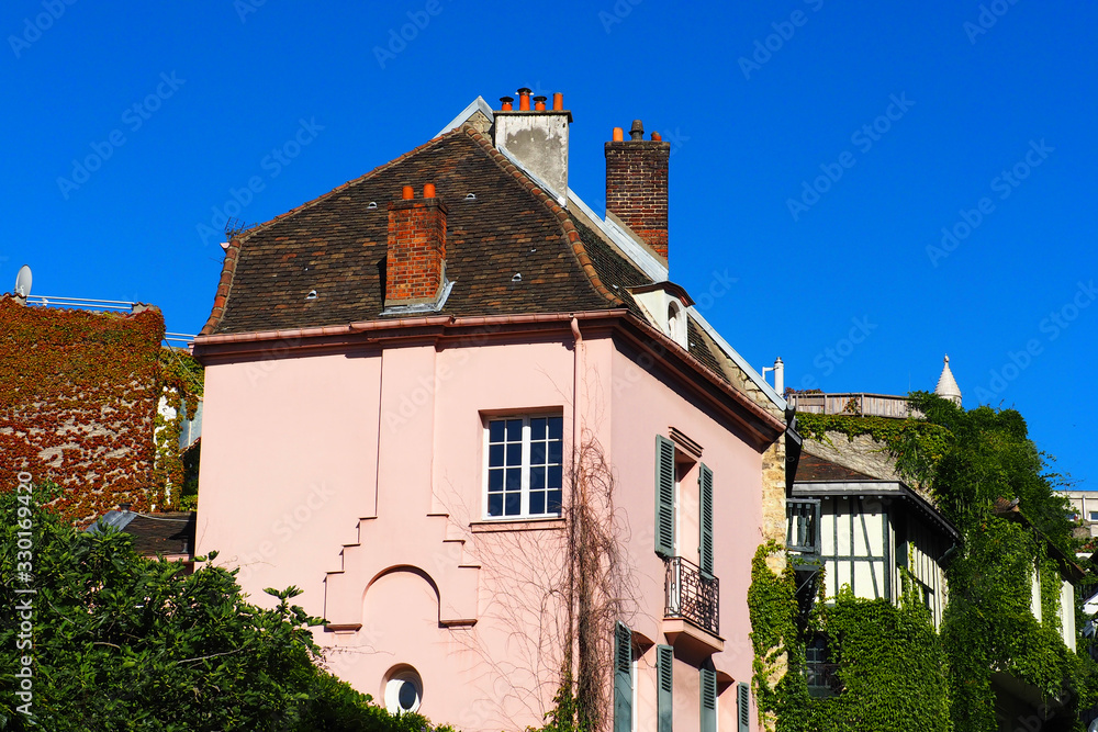 Street in Paris, France, Montmartre. Summer day. Covered with ivy and wild grapes at home